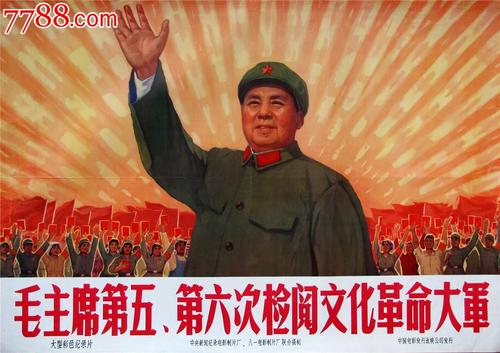 高中毕业证号怎么填写的